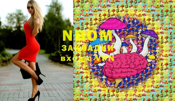 меф Няндома