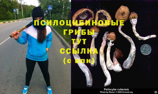 круглые Нязепетровск