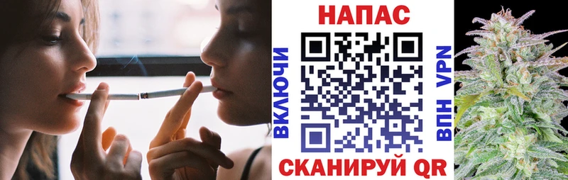 Конопля индика  Южноуральск 